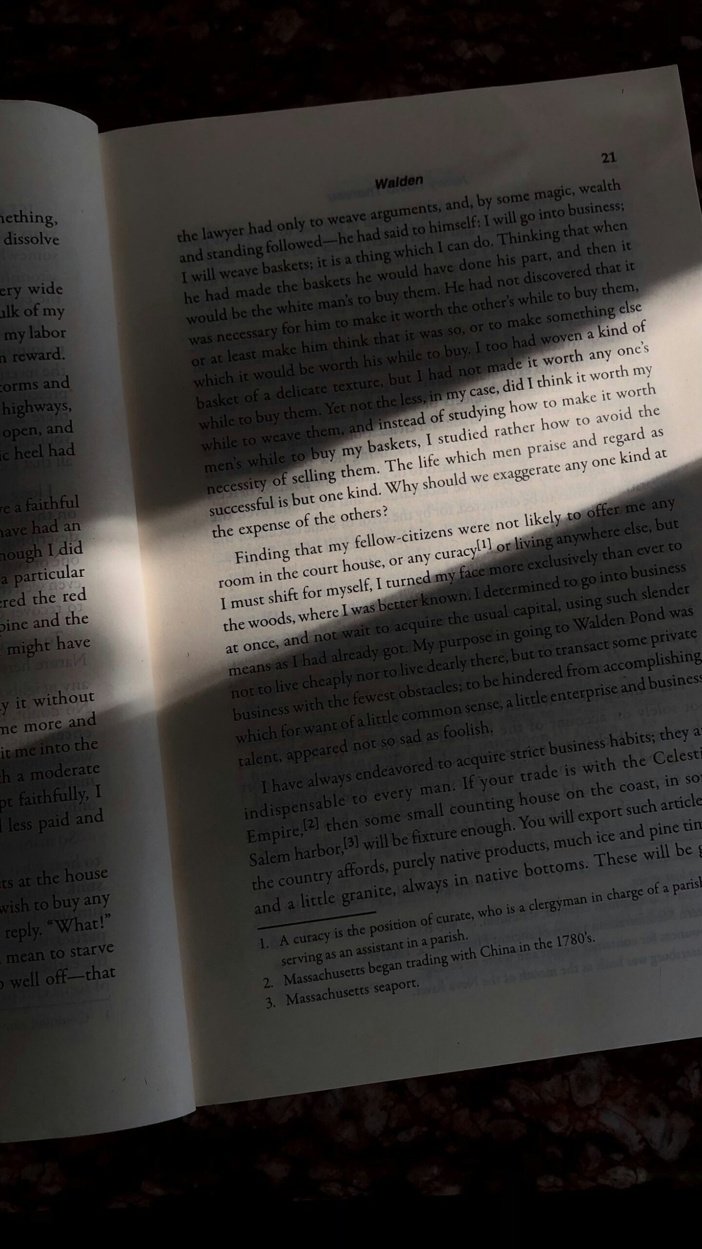 Por Que Conectar-se com a Natureza Através da Leitura